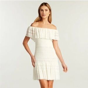 Sho Tadashi Shoji Off Shoulder
Tonal Stripe Mini Dress